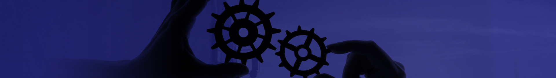 Cyclone Express Transportes